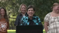 Woodland Art Fair 50th Anniversary Press Conference