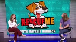 Rescue Me with the Cleveland APL