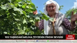 Ordu Altaş TV Main News | August 13, 2026