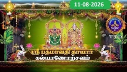 Sri Padmavathi Ammavari || Kalyanotsavam || Tiruchanoor || 11-08-2026 || SVBC2 Tamil || SVBC TTD