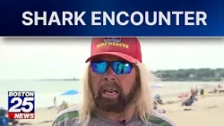 Great white shark drags lifeguard underwater at New England beach