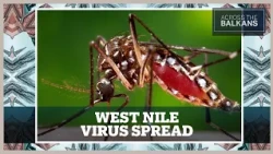 West Nile virus is sweeping more than 15 countries in Europe and the Balkans