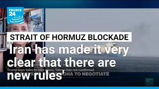 Strait of Hormuz: 'Iran has made it very clear that there are new rules', analyst says • FRANCE 24