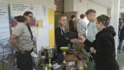 Krónika: 19. Sulibörze az Újlak Utcai Általános Iskolában (2026.10.16.)
