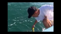 New reports on microalgae in Cienfuegos Bay published