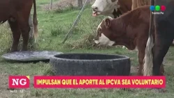 La Sociedad Rurala de Santa Fe impulsa que el aporte al IPCVA sea solidario