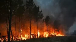 Wildfires: 370,000 people evacuated in France and Spain