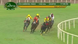 Hipódromo Monterrico   4ta Carrera 17 Agosto 26