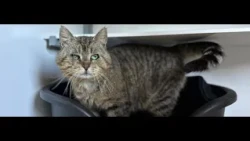 07/16/2026 HB Animal of the Month