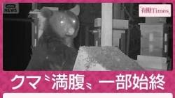 [Exclusive] Full footage of a bear "stuffing itself": Obsessed with honey... Difficult to deter, ...