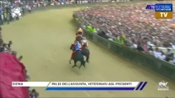 Palio dell'Assunta, ASL veterinarians in attendance