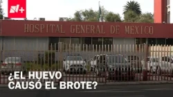 Eggs may be behind the Salmonella outbreak at CDMX General Hospital