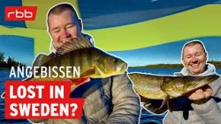 Wo sind die Fische? Angelspots entdecken in Schweden | Angebissen #208 | Angelpodcast