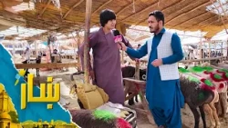ښار ـ په احمدشاه بابا مېنه کې د څارویو له پلورځای څخه د شاه محمد یارمل ځانکړی راپور