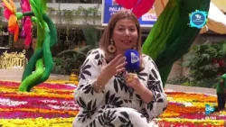 Your Meeting Point | July 30, 2026 - Flower Carpet, Flower Festival