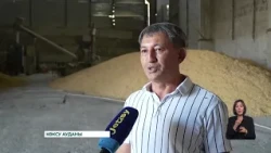 Жетісуда ауыл шаруашылығы өнімдерін өңдеуге бағытталған өндіріс орындары көбейіп келеді