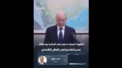 Journalist Ahmed Shawqi: The Yemeni Government Regains the Initiative