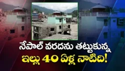 నేపాల్ వరదల్లో వైరల్‌గా మారిన ఆకుపచ్చ ఇల్లు