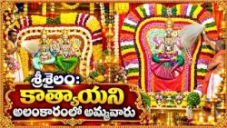 Srisailam: Goddess Bhramarambika appears to devotees in Katyayani Alankaram