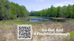 #FindHillsborough - Lithia Area
