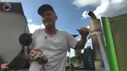 Žetva pšenice u Konjević Polju: "Godina je poprilično  dobra"