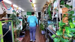 Green Business Program