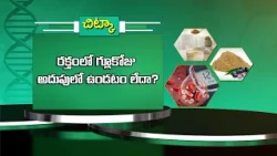 రక్తంలో గ్లూకోజు అదుపులో ఉండటం లేదా ? | Is your blood glucose not under control ? | Sukhibhava