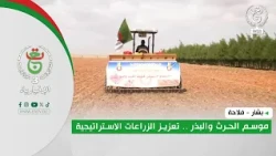 2 Farming in Bechar: The Tilling and Sowing Season — Boosting Strategic Crops