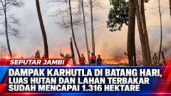 IMPACT OF FOREST AND LAND FIRES IN BATANG HARI, AREA BURNED REACHES 1,316 HECTARES
