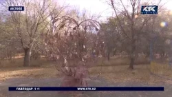 30 ЖЫЛ ҚАРАУСЫЗ! Ақтөбеде саябақ ақыры мемлекетке қайтты — 600 МЛН БӨЛІНДІ
