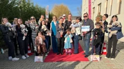 Parada animăluțelor la Red Link Wedding