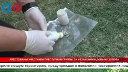 CRIMINAL GOLD-MINING GANG ARRESTED
