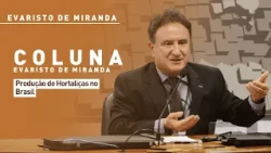Evaristo de Miranda: Vegetable production in Brazil