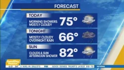 NYC weekend weather: Near 80 Saturday, rain possible Sunday