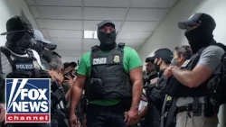 ICE set to use non-lethal shock gloves for arrests