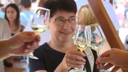 Regionalno, Pesnica: Zaključek Jakobovega mesca praznovanj