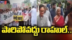 పారిపోవద్దు రాహుల్.. NDA MPs rally in Parliament Premises | Rahul Gandhi | TV5 News