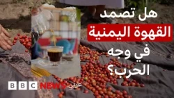 تجارة البُن في اليمن.. هل تصمد في وجه الحرب؟