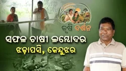 Successful Farmer Lambodhar of Keonjhar | ସମନ୍ୱିତ କୃଷି ଓ ବତକ / ପଶୁପାଳନ | Krishi Darshan | DD Odia