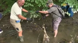 Önkéntesek gyűjtötték a hulladékot a hetek óta apadó patakok medréből