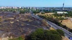 Fonte Laurentina fire, 9th District: "The second phase begins: challenging the mafia"