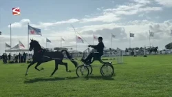 Fourth Blauhúster Hynstedei brings equestrian sports and traditional crafts together