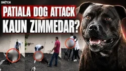 Pitbull Att@ck in Patiala: Kaun Zimmedaar? India Mein Dog Bite Cases Kyun Badh Rahe?