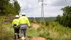 Tūkstančiams vis dar neturint elektros L. Savickas bedė pirštu į ESO: turėtų atsiprašyti