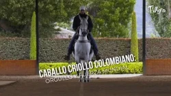 Colombian Creole Horse: World Pride and Strength - TvAgro by Juan Gonzalo Angel