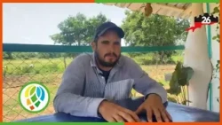 #PinarIn26🇨🇺| Yasel Hernández, tobacco producer. #MyMoncadaIsTheHomeland