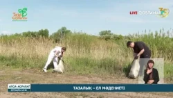 Тазалық – ел мәдениеті