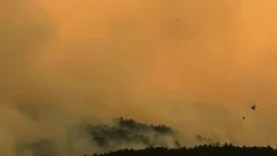 Wildfires rage in parts of France, Spain, and Italy
