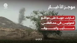 Airstrikes on Houthi positions in Ma'rib and Al-Jawf governorates | News Brief