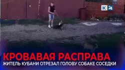 A Krasnodar resident who killed a Staffordshire terrier has been detained.